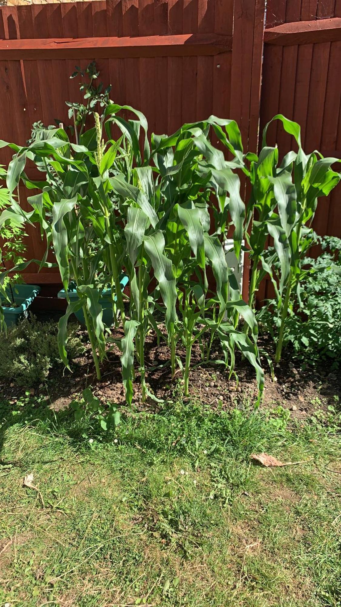 Queenomega'S Home Stay London Ngoại thất bức ảnh